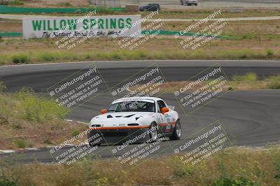 media/May-04-2024-Lucky Dog Racing (Sat) [[d39539b3f3]]/Race Pics/1230pm (Turn 4a)/